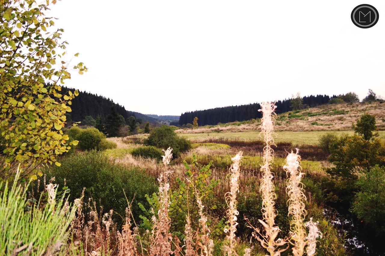 Chalet Le Forestier Büllingen Eksteriør bilde