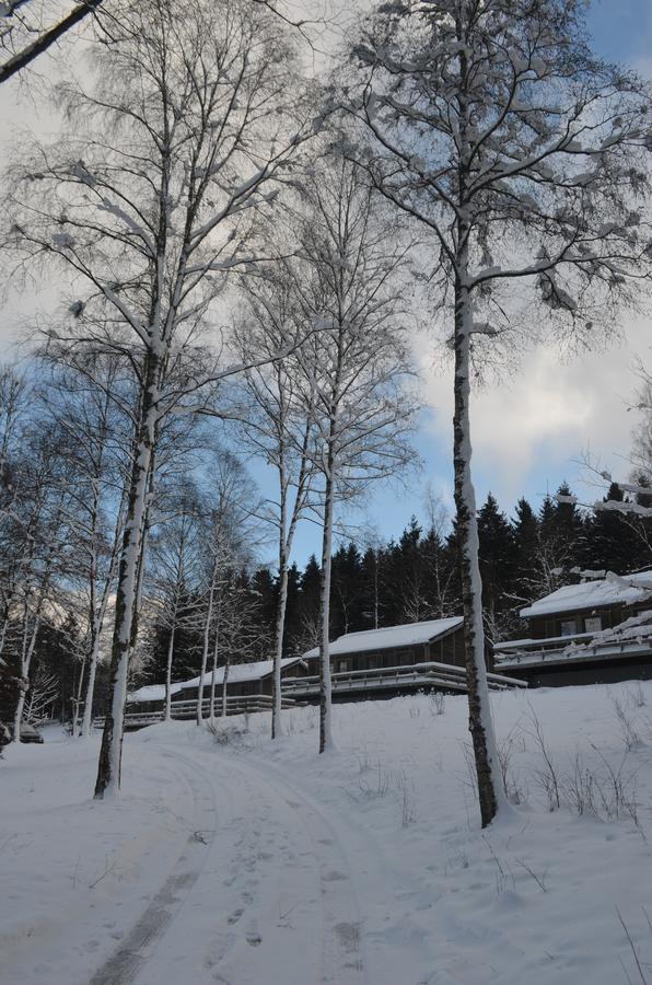 Chalet Le Forestier Büllingen Eksteriør bilde
