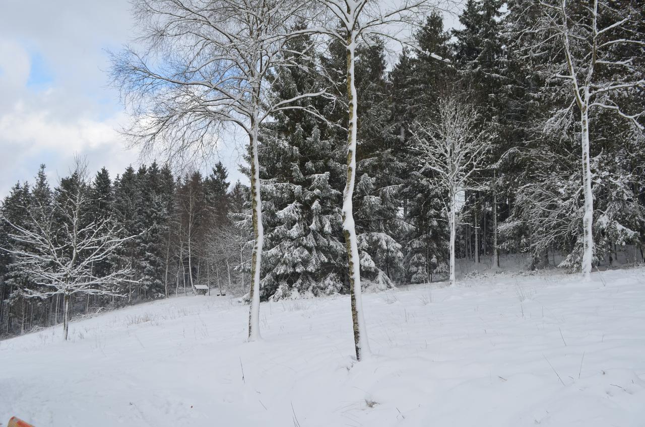 Chalet Le Forestier Büllingen Eksteriør bilde