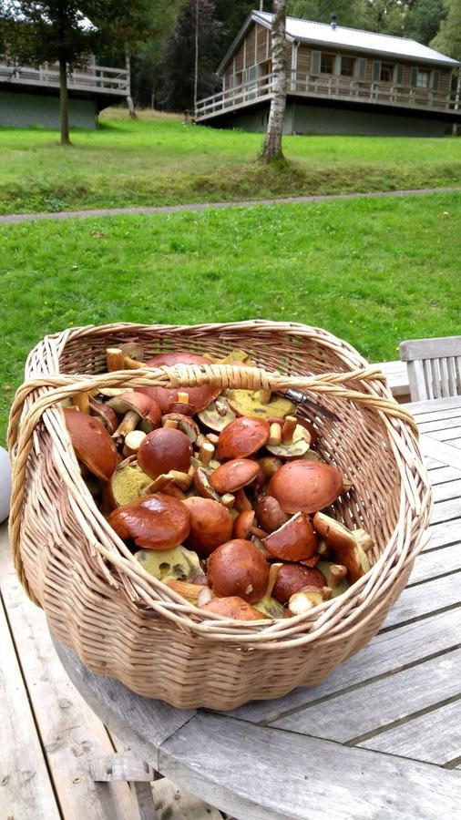 Chalet Le Forestier Büllingen Eksteriør bilde