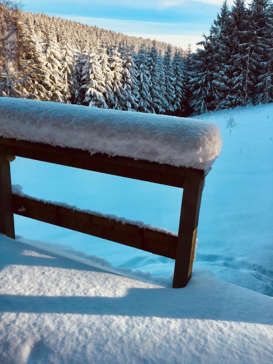 Chalet Le Forestier Büllingen Eksteriør bilde